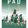 Affiche de rugby, Pau, la touche