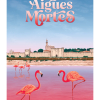 Affiche d'Occitanie, Aigues-Mortes