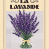 Affiche Culture, la Lavande