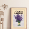 Affiche Culture, la Lavande
